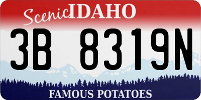 ID license plate 3B8319N