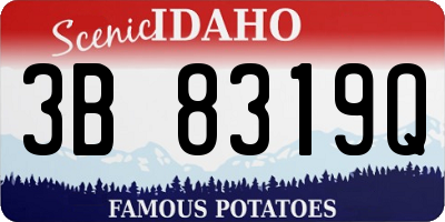ID license plate 3B8319Q