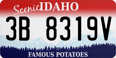 ID license plate 3B8319V