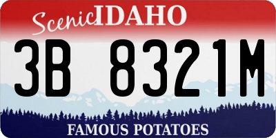 ID license plate 3B8321M