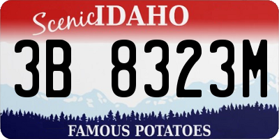 ID license plate 3B8323M