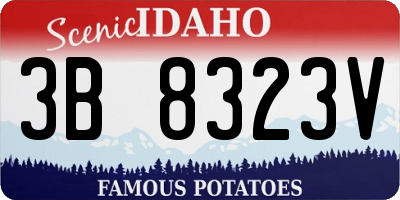 ID license plate 3B8323V