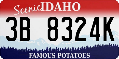 ID license plate 3B8324K