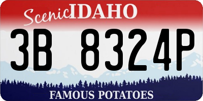 ID license plate 3B8324P