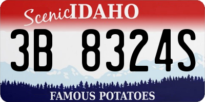 ID license plate 3B8324S