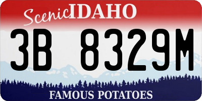 ID license plate 3B8329M