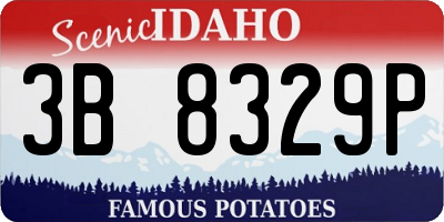 ID license plate 3B8329P