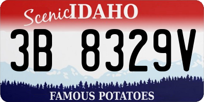 ID license plate 3B8329V