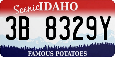ID license plate 3B8329Y