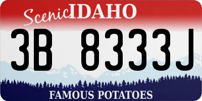 ID license plate 3B8333J