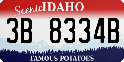 ID license plate 3B8334B