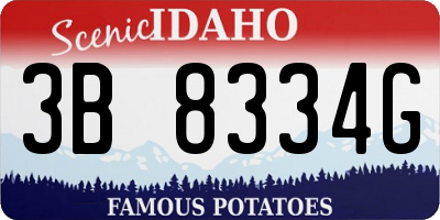 ID license plate 3B8334G