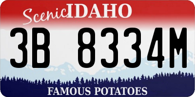 ID license plate 3B8334M