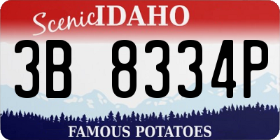 ID license plate 3B8334P