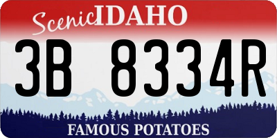 ID license plate 3B8334R