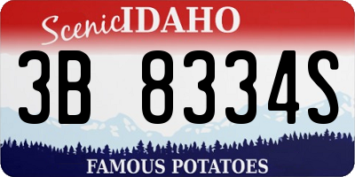 ID license plate 3B8334S