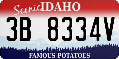 ID license plate 3B8334V