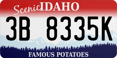 ID license plate 3B8335K