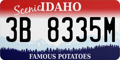 ID license plate 3B8335M