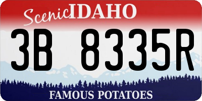 ID license plate 3B8335R