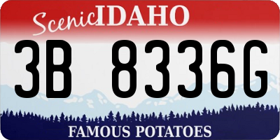 ID license plate 3B8336G