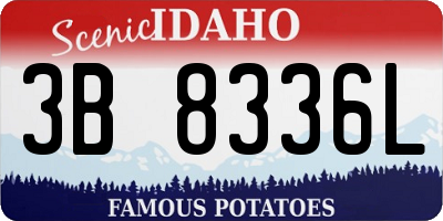 ID license plate 3B8336L