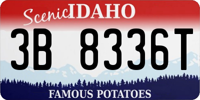 ID license plate 3B8336T