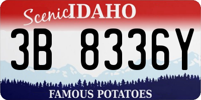 ID license plate 3B8336Y