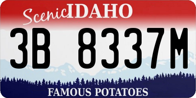 ID license plate 3B8337M