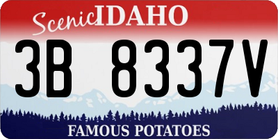 ID license plate 3B8337V