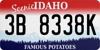 ID license plate 3B8338K