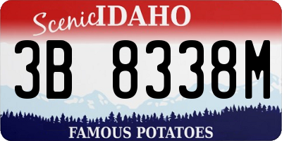 ID license plate 3B8338M