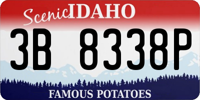 ID license plate 3B8338P