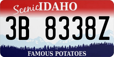 ID license plate 3B8338Z