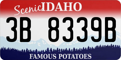 ID license plate 3B8339B