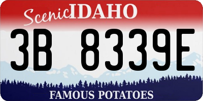 ID license plate 3B8339E