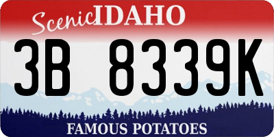 ID license plate 3B8339K