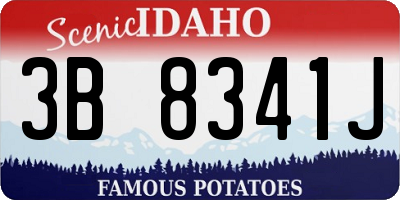 ID license plate 3B8341J
