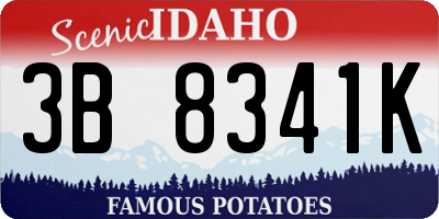 ID license plate 3B8341K