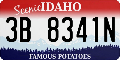 ID license plate 3B8341N