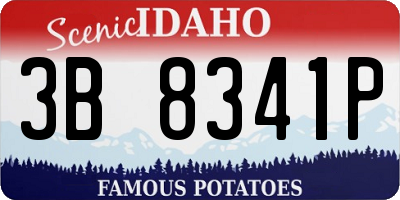 ID license plate 3B8341P