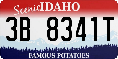 ID license plate 3B8341T