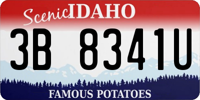 ID license plate 3B8341U