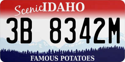 ID license plate 3B8342M