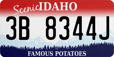 ID license plate 3B8344J