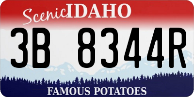 ID license plate 3B8344R