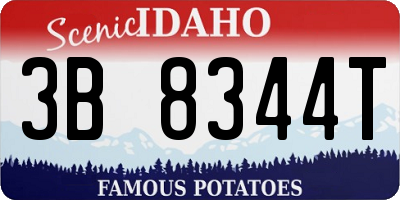 ID license plate 3B8344T