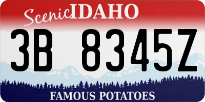 ID license plate 3B8345Z
