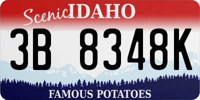 ID license plate 3B8348K