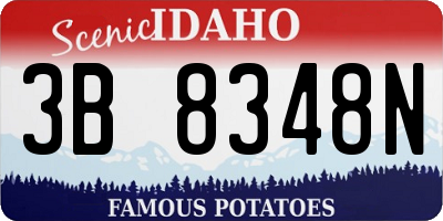 ID license plate 3B8348N